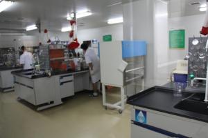 郑州慧泽技术团队